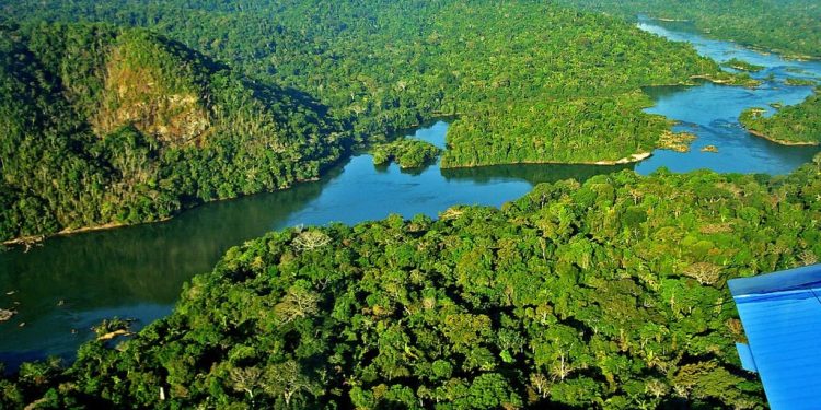 Governo publica decreto que cria Secretaria de Mercado de Carbono na próxima semana