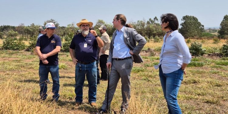 Representante da FAO diz que tecnologias da Embrapa podem inspirar outros países