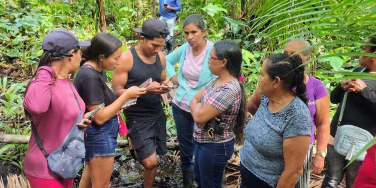 COP30: AgriZone terá debate sobre inclusão digital e socioprodutiva no setor agropecuário