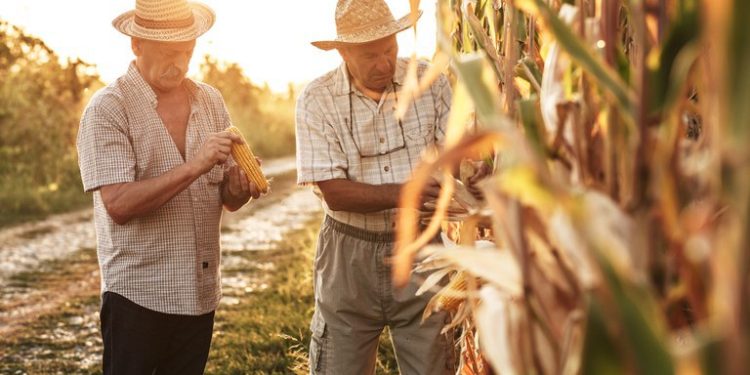 Qual é o maior desafio da agricultura familiar hoje?